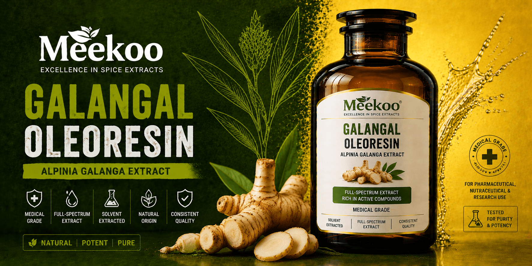Galangal Oleoresin (Alpinia galanga Extract) — Meekoo organic