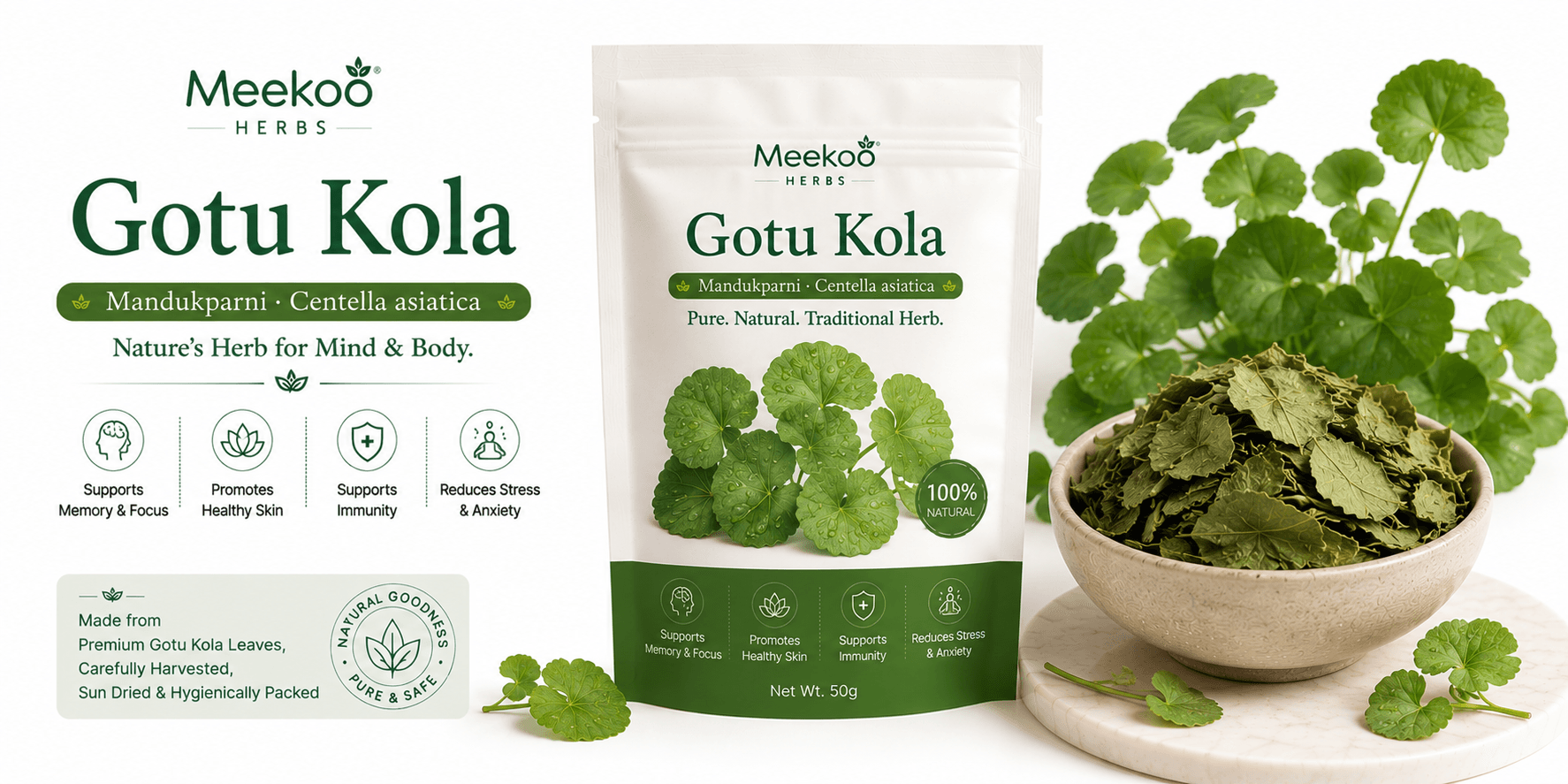 Gotu Kola (Mandukparni · Centella asiatica) — Meekoo organic