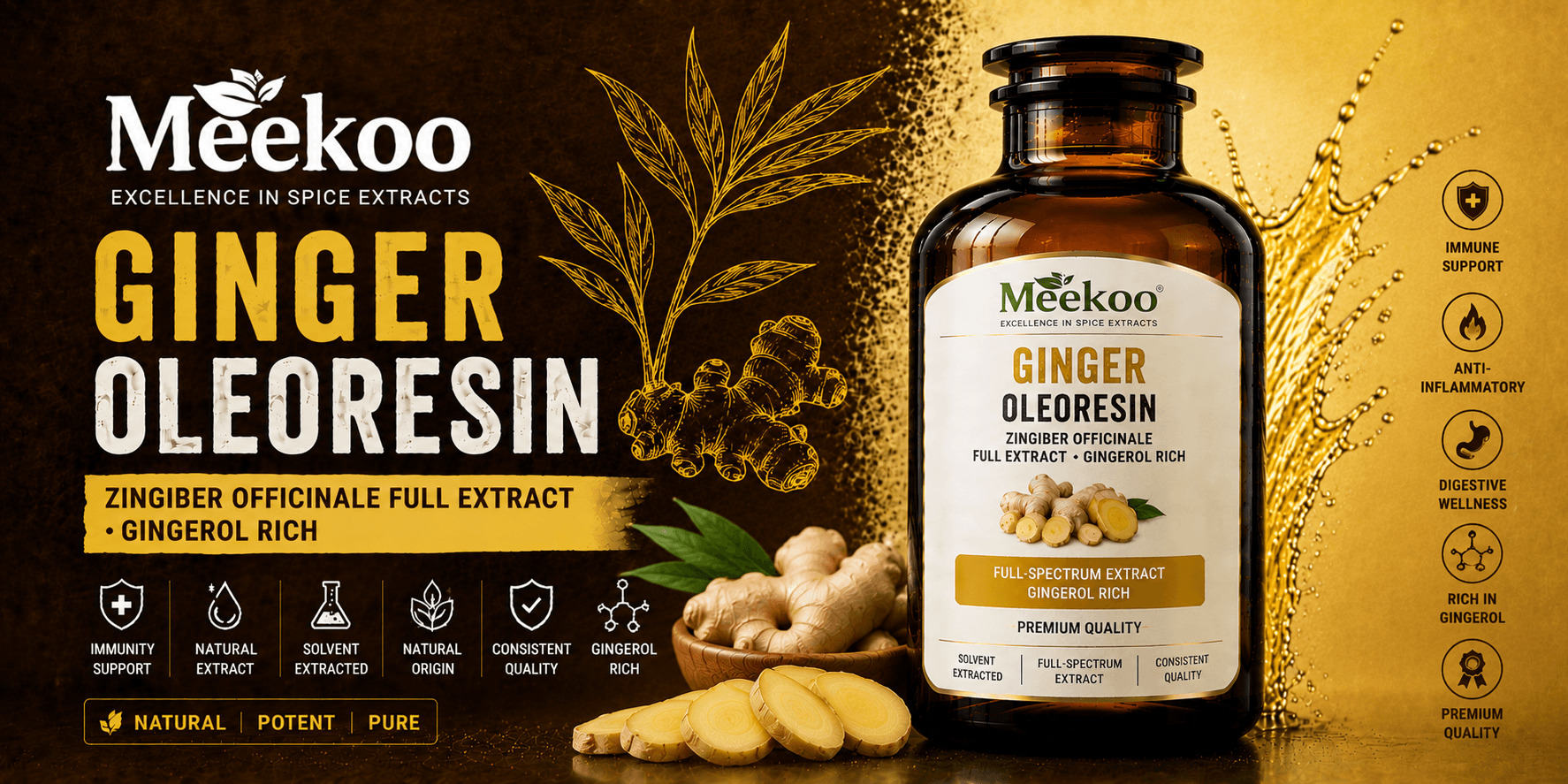 Ginger Oleoresin (Zingiber officinale Full Extract · Gingerol Rich) — Meekoo organic