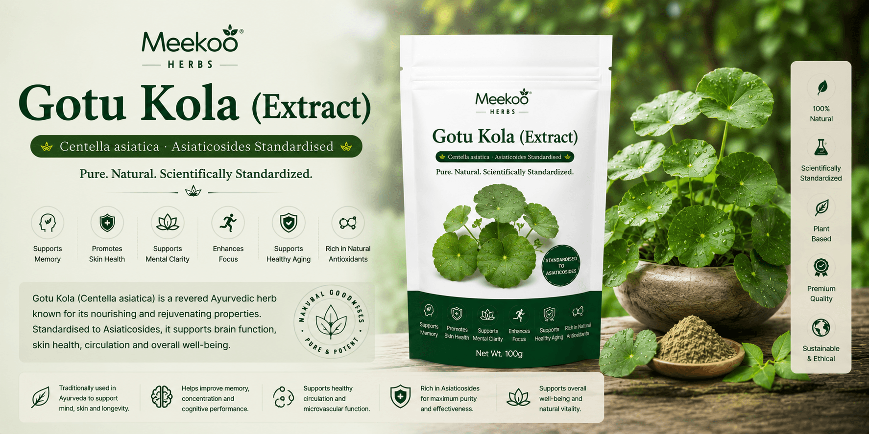 Gotu Kola (Extract) (Centella asiatica · Asiaticosides Standardised) — Meekoo organic