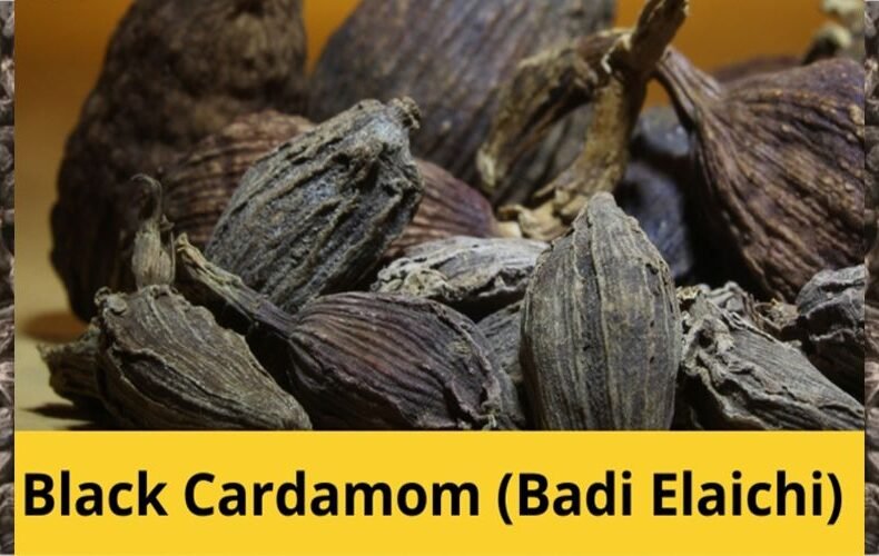 Black Cardamom (Kali Ilayachi)