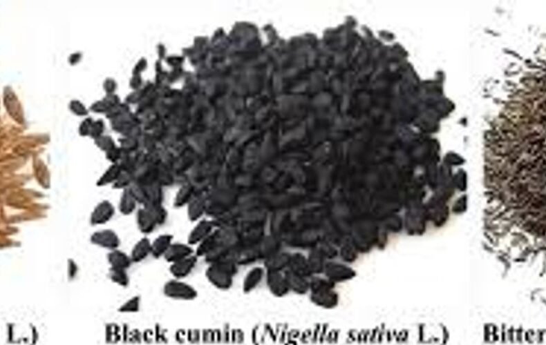 Cumin (Jeera)