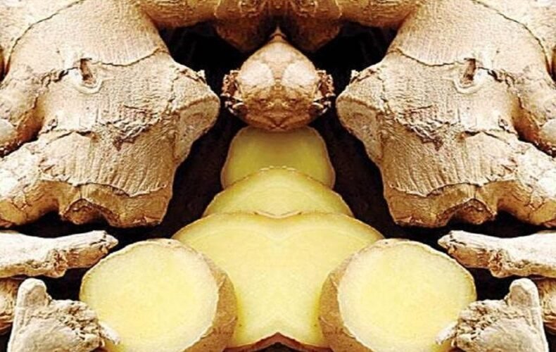 Ginger (Adarek)