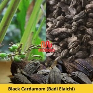 Black Cardamom (Kali Elaichi)
